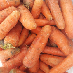 Морковь красный