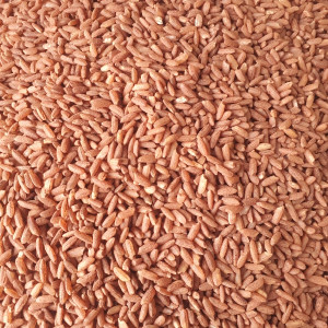 Дезра гуруч 1