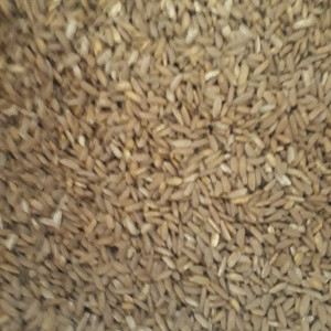 Дезра гуруч 2