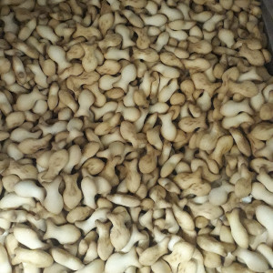 Золотая рыба