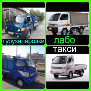 Лабо жана Портер кызматы